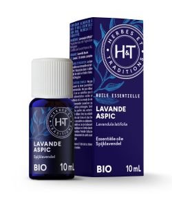 Spike lavender (Lavandula spica - Lavandula latifolia)
